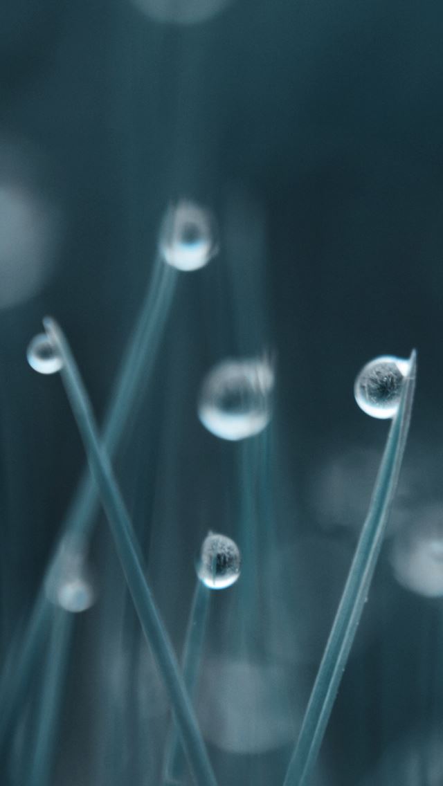 640x1136 Drops -  iPhone Wallpaper