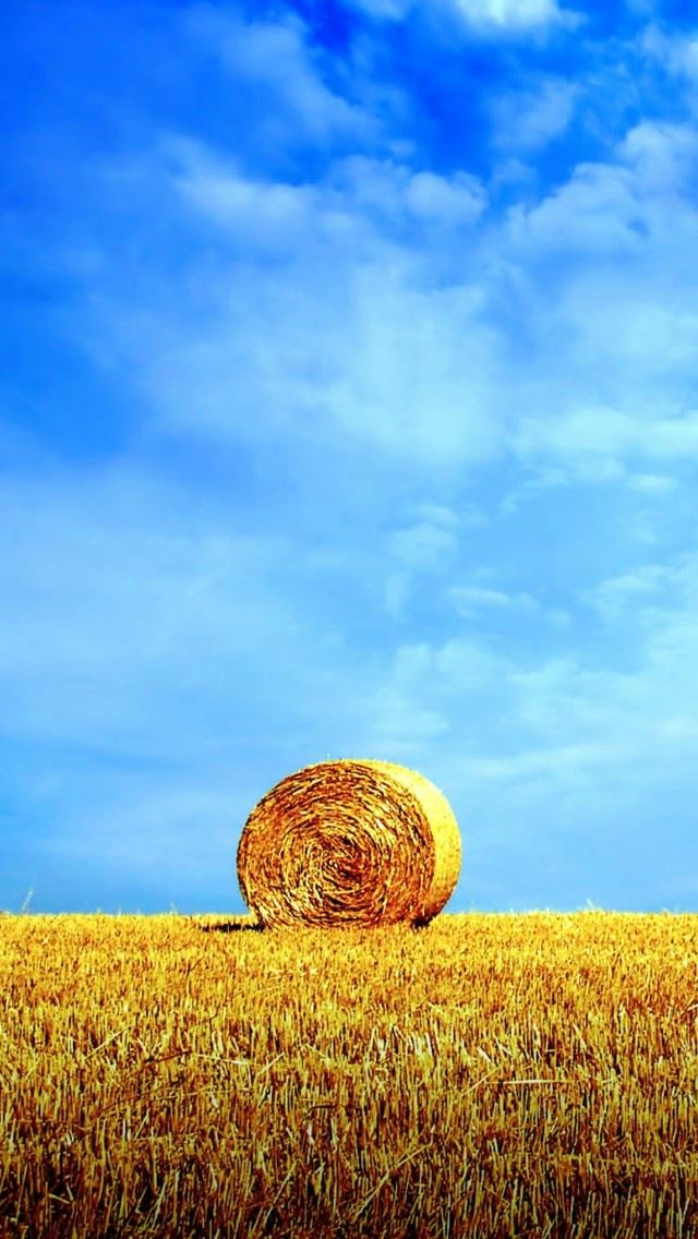640x1136 Wheat World - world iPhone Wallpaper