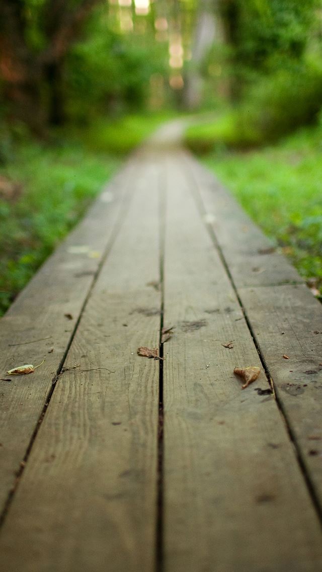 640x1136 Going Home - path iPhone Wallpaper
