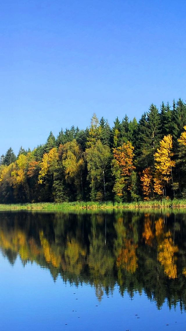 640x1136 Fall Trees Reflection - beautiful iPhone Wallpaper