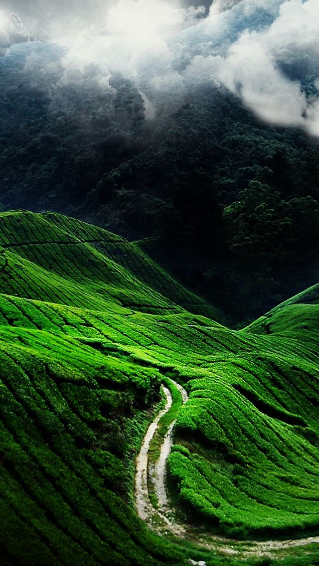 640x1136 Green Mountains - hill iPhone Wallpaper