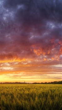 Hungary Fields wallpaper
