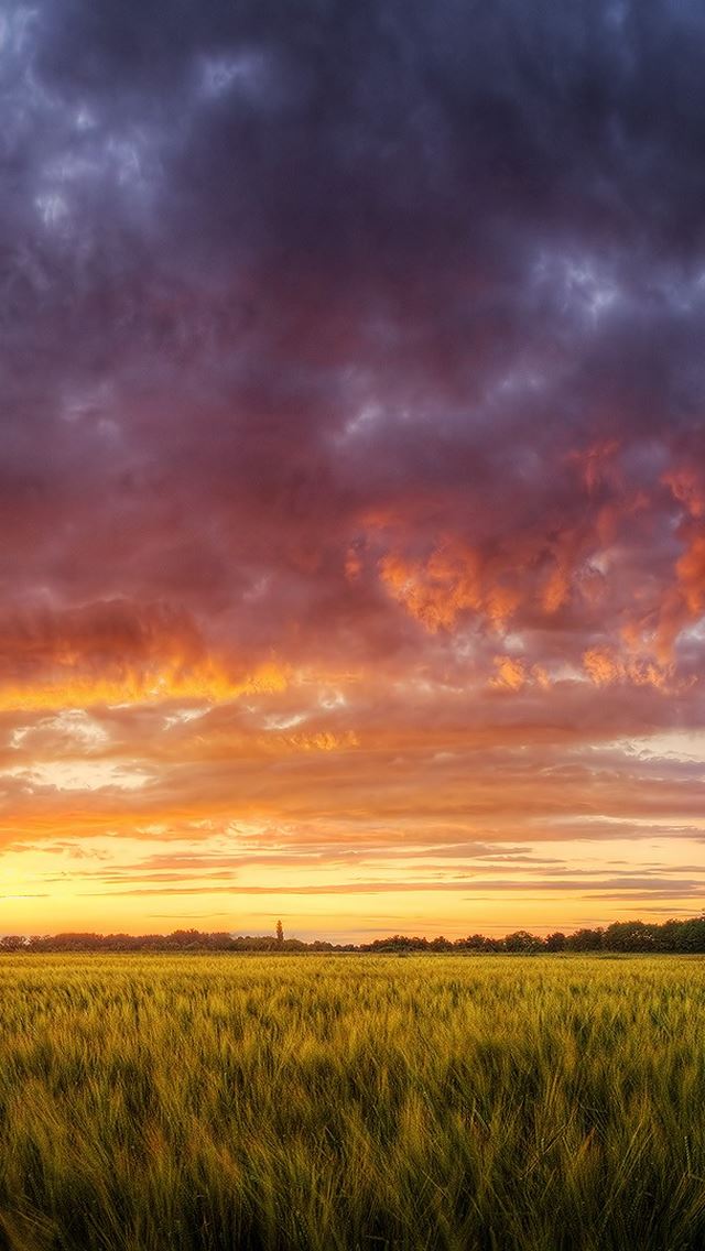 640x1136 Hungary Fields -  iPhone Wallpaper