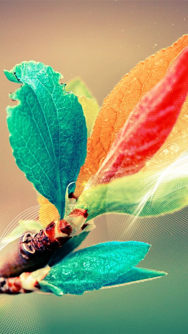 640x1136 Colorful Leaves -  iPhone Wallpaper