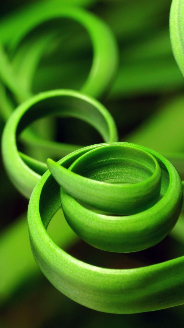 640x1136 Leaves Swirl - swirl iPhone Wallpaper