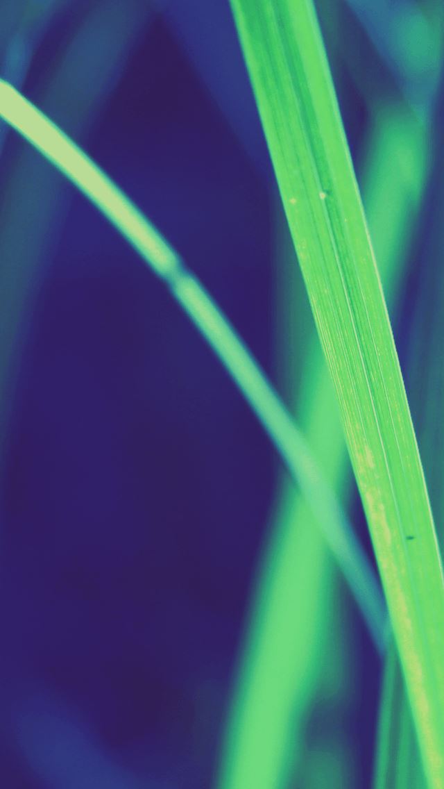 640x1136 Lomo Leaves -  iPhone Wallpaper