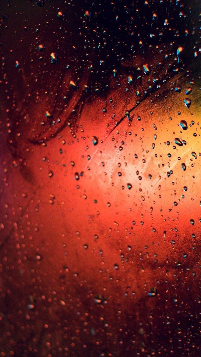 640x1136 Orange Rainy Grass -  iPhone Wallpaper