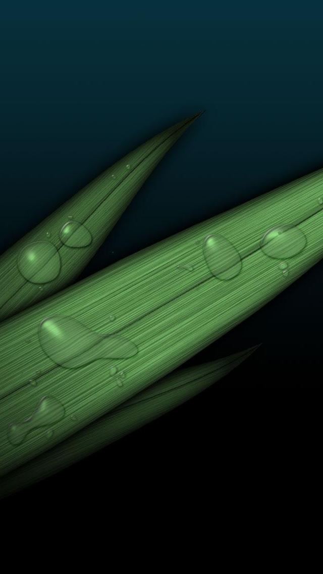 640x1136 Green leaves -  iPhone Wallpaper