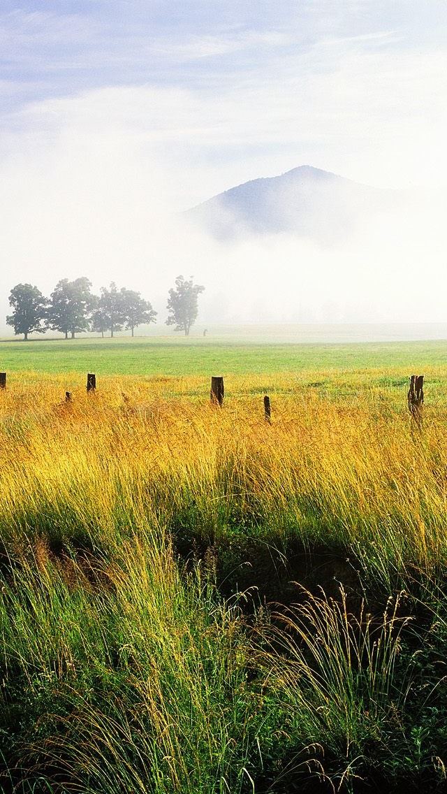 640x1136 Spring field - spring iPhone Wallpaper