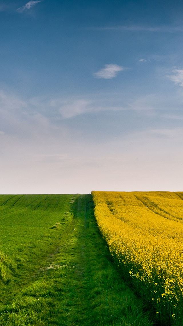 640x1136 Wonderful Nature - grass iPhone Wallpaper