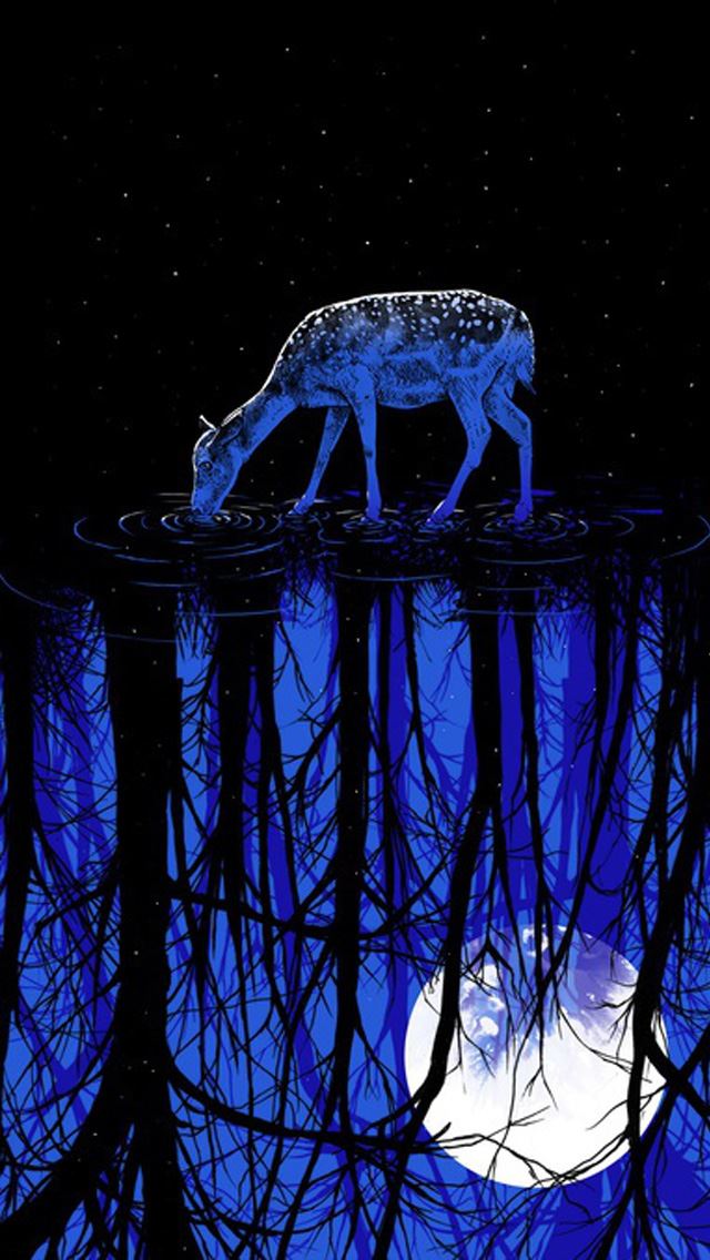640x1136 Deer night drinking - deer iPhone Wallpaper