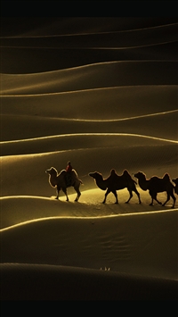 Boat shadow in the desert2 wallpaper