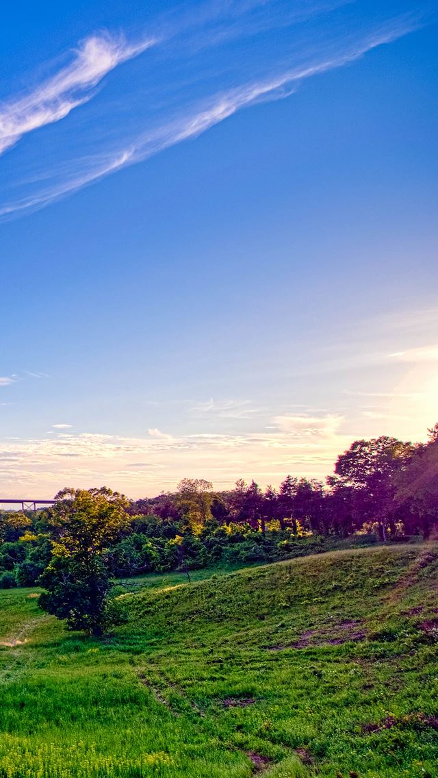 640x1136 Moodna Viaduct - trees iPhone Wallpaper