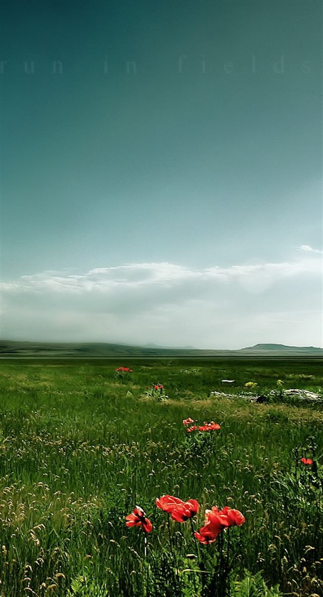640x1136 Nature Field - space iPhone Wallpaper