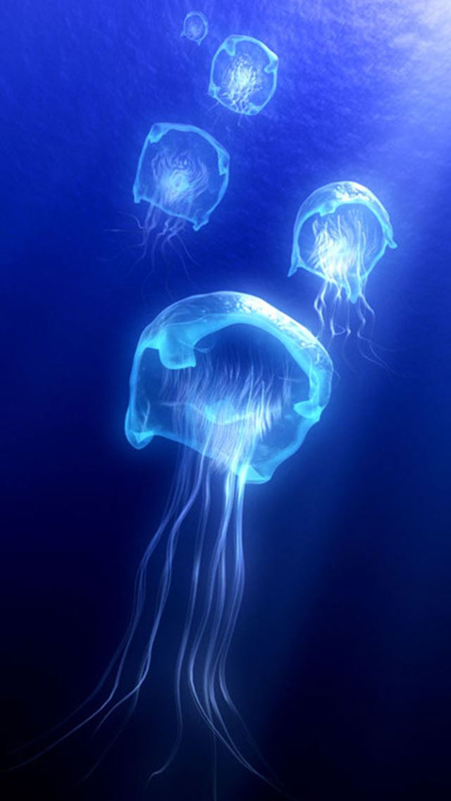 640x1136 Jellyfish -  iPhone Wallpaper