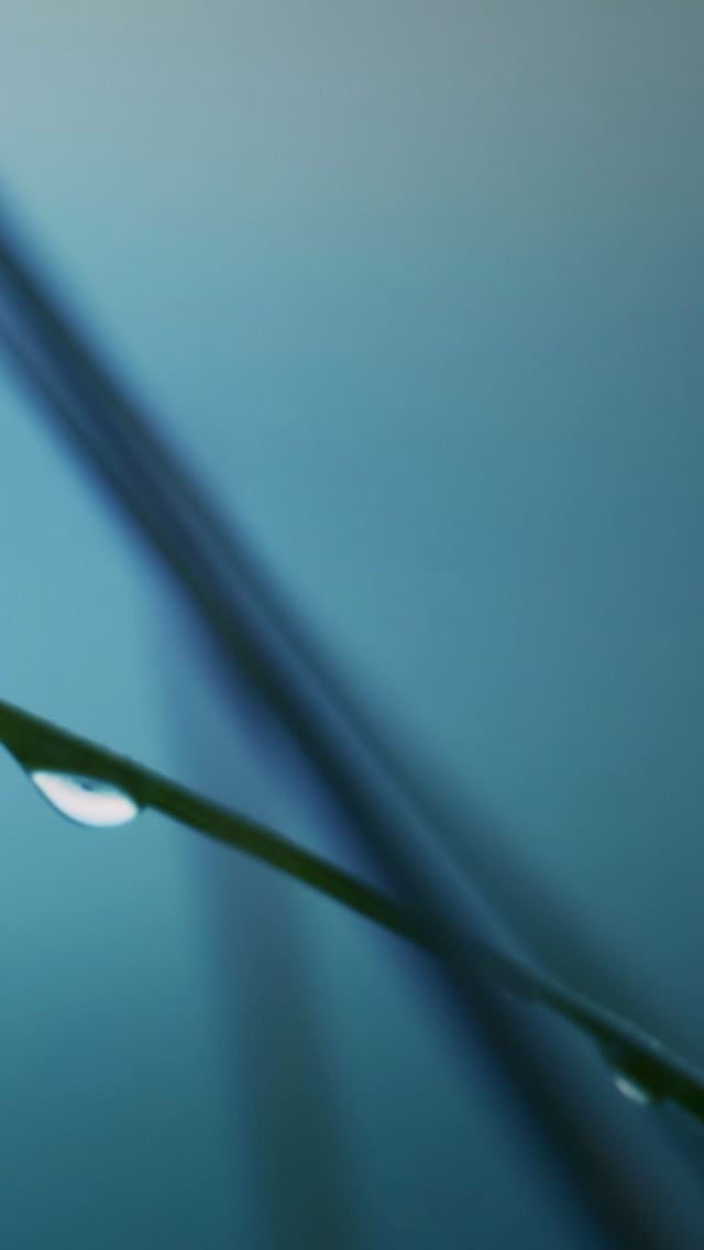 640x1136 Drops -  iPhone Wallpaper