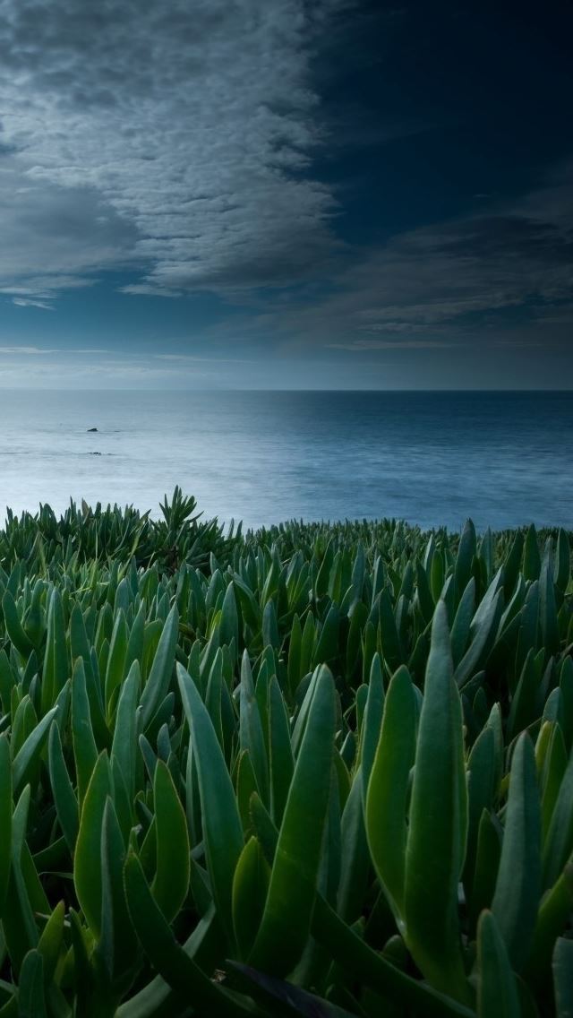 640x1136 Making the Difference -  iPhone Wallpaper