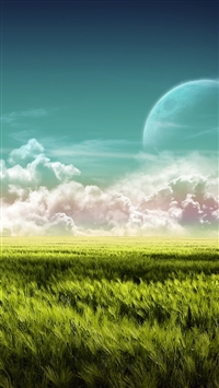 Rusty Car in Wheat wallpaper