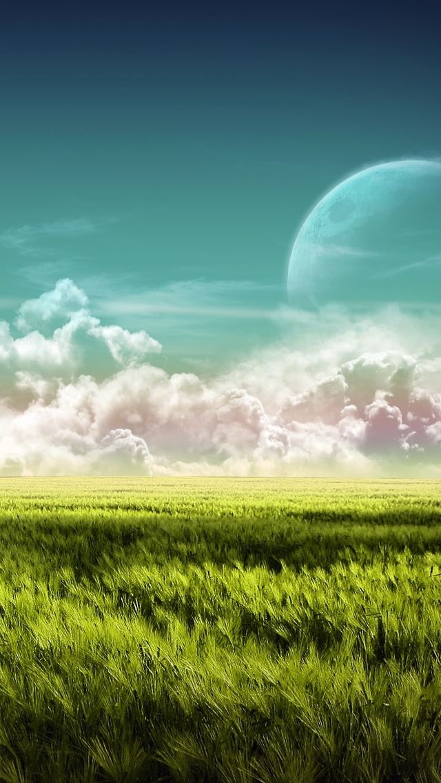 640x1136 Rusty Car in Wheat -  iPhone Wallpaper