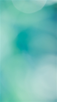 Dandelions Macro wallpaper