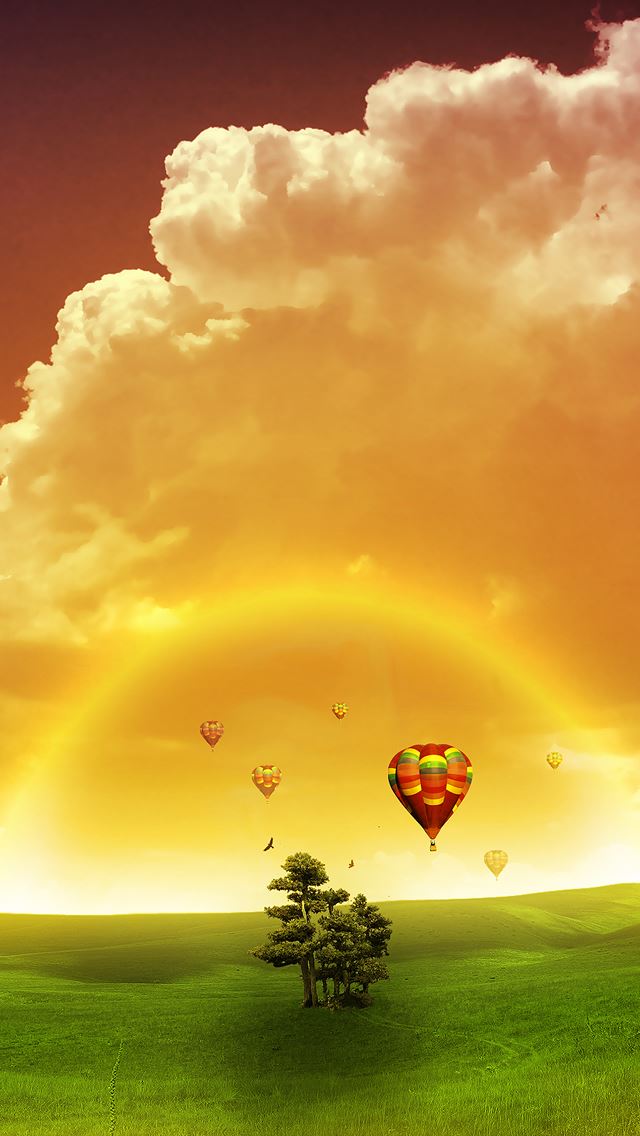640x1136 Hot Air Balloons - hot iPhone Wallpaper