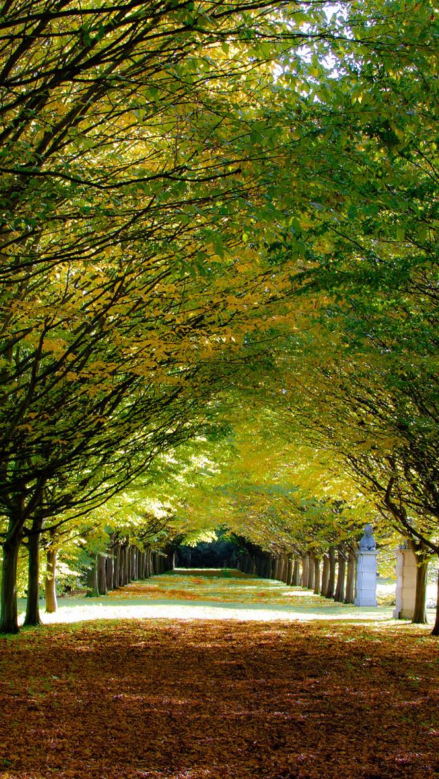 640x1136 Its Autumn At Anglesey Abbey Cambridgeshire -  iPhone Wallpaper