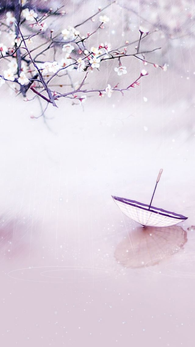 640x1136 Plum umbrella -  iPhone Wallpaper