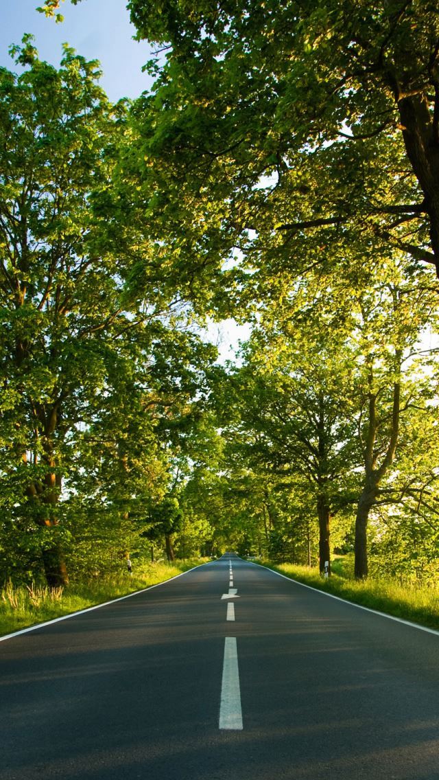 1284x2778 Road Summer - road iPhone Wallpaper