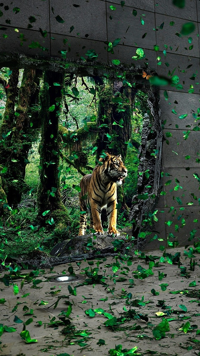 Last Tiger iPhone wallpaper 