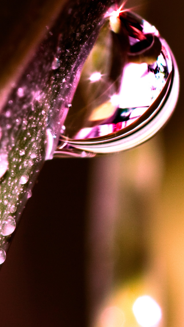 water drops on leaf macro iPhone wallpaper 