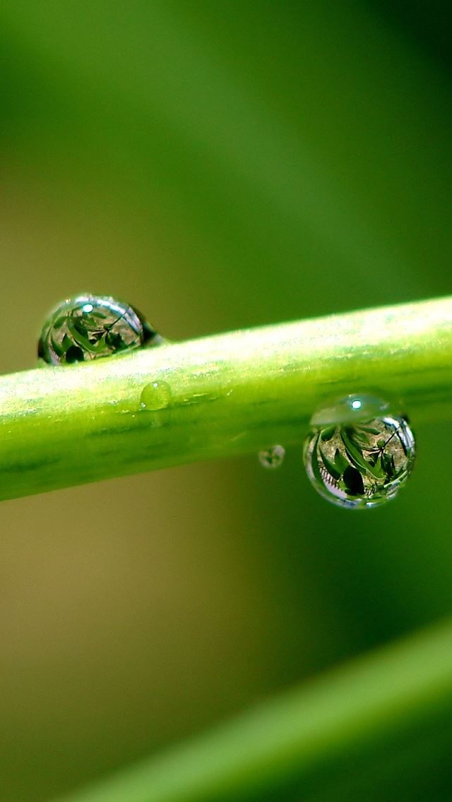 640x1136 Pure Drops -  iPhone Wallpaper