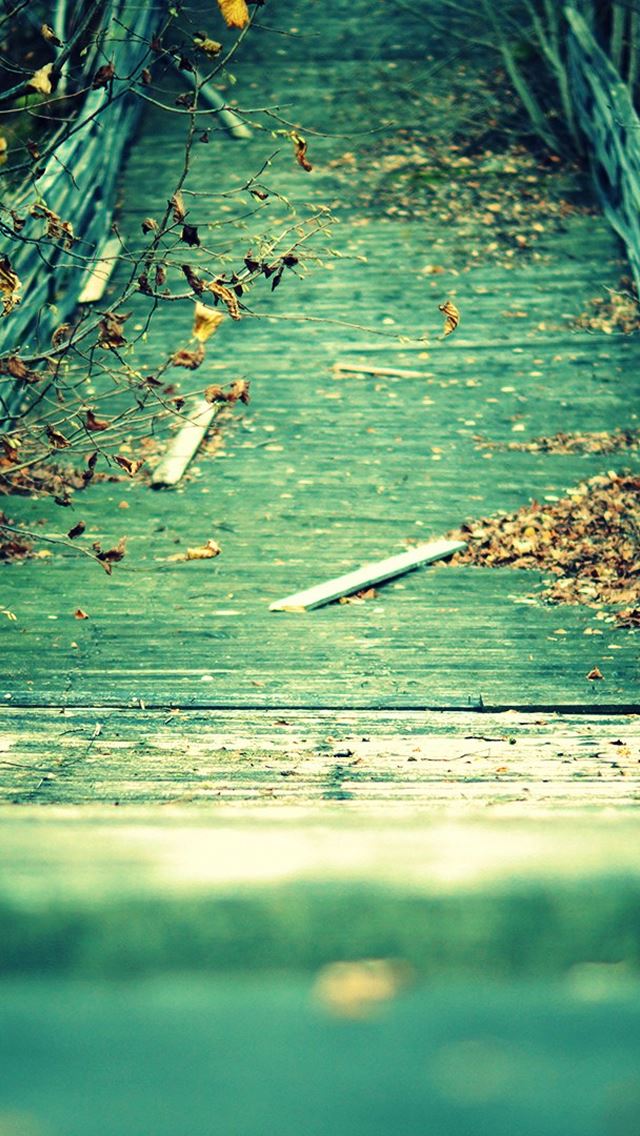 640x1136 Old Bridge - wood iPhone Wallpaper
