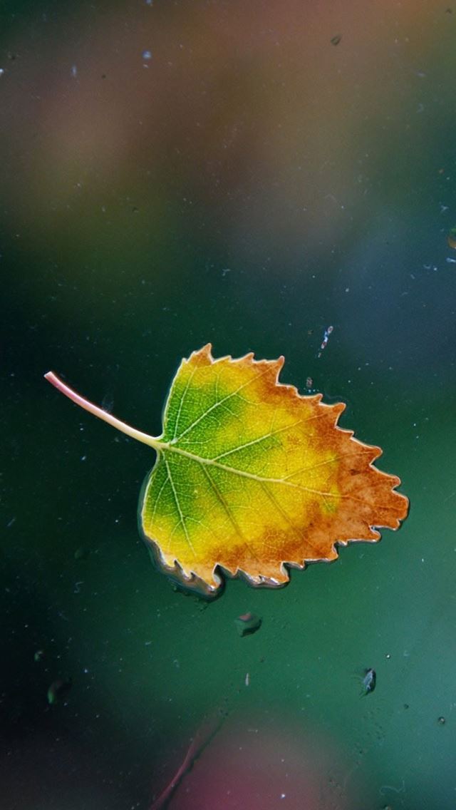 640x1136 Bailu landscape -  iPhone Wallpaper