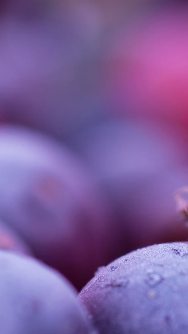 640x1136 Frost - bokeh iPhone Wallpaper