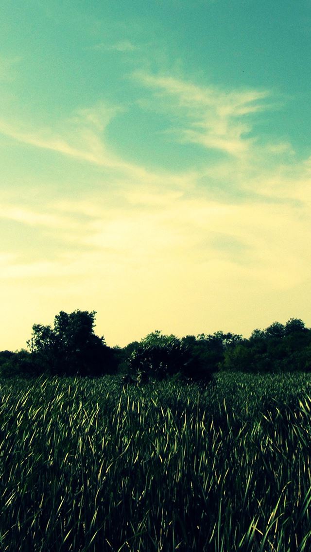 640x1136 Lomo Nature -  iPhone Wallpaper