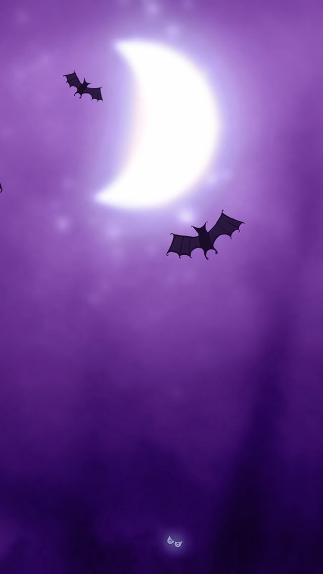 640x1136 Dark Night - fly iPhone Wallpaper