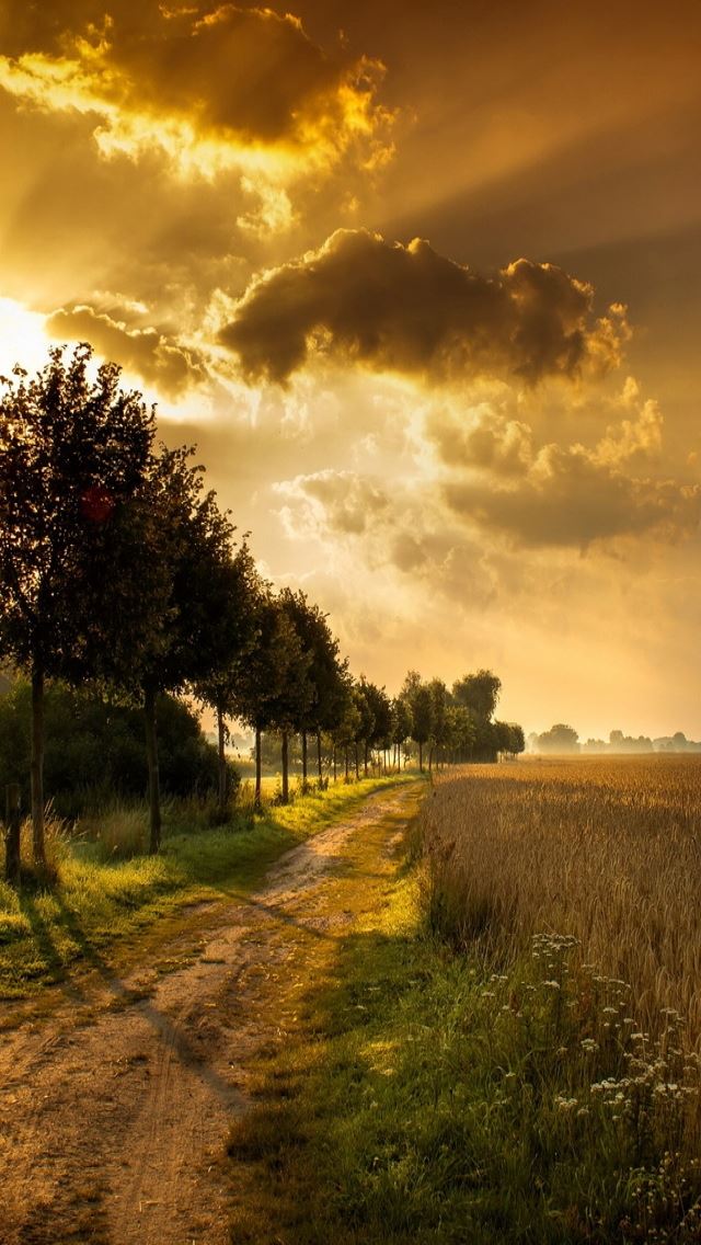 640x1136 Autumn Landscape With Trees -  iPhone Wallpaper