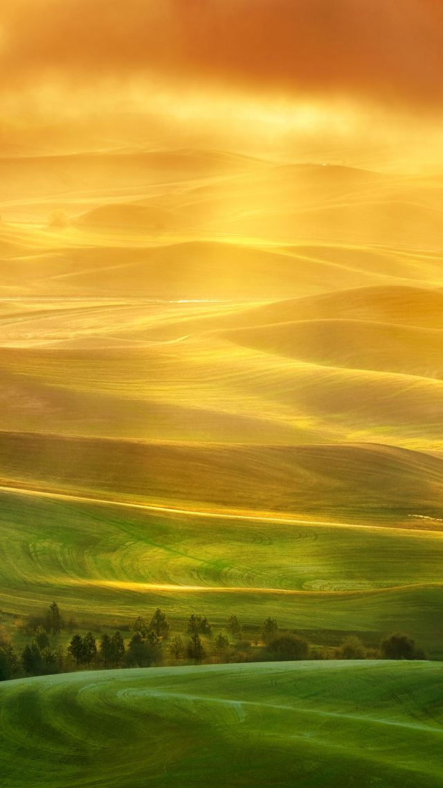 640x1136 Paradise -  iPhone Wallpaper