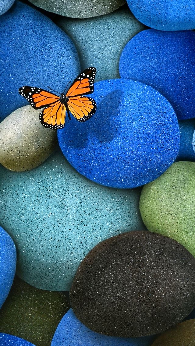 640x1136 Lonely Butterfly -  iPhone Wallpaper