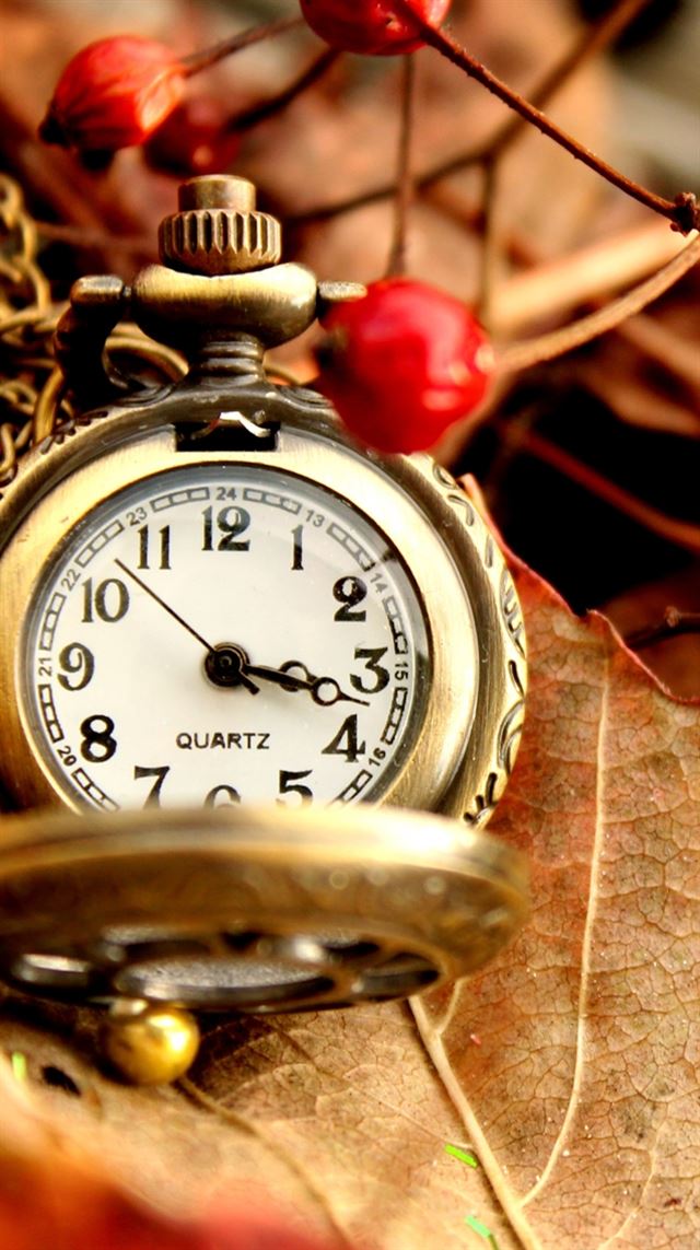 640x1136 Beautiful Vintage Watch - watch iPhone Wallpaper