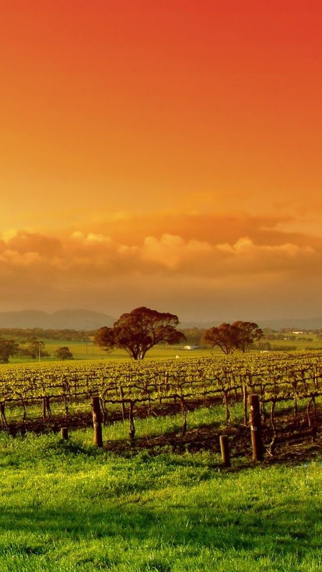 640x1136 Colourful Sunset - colourful iPhone Wallpaper