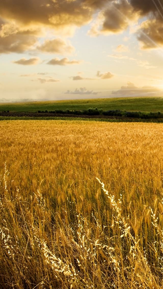 640x1136 Cool Sunset - cool iPhone Wallpaper