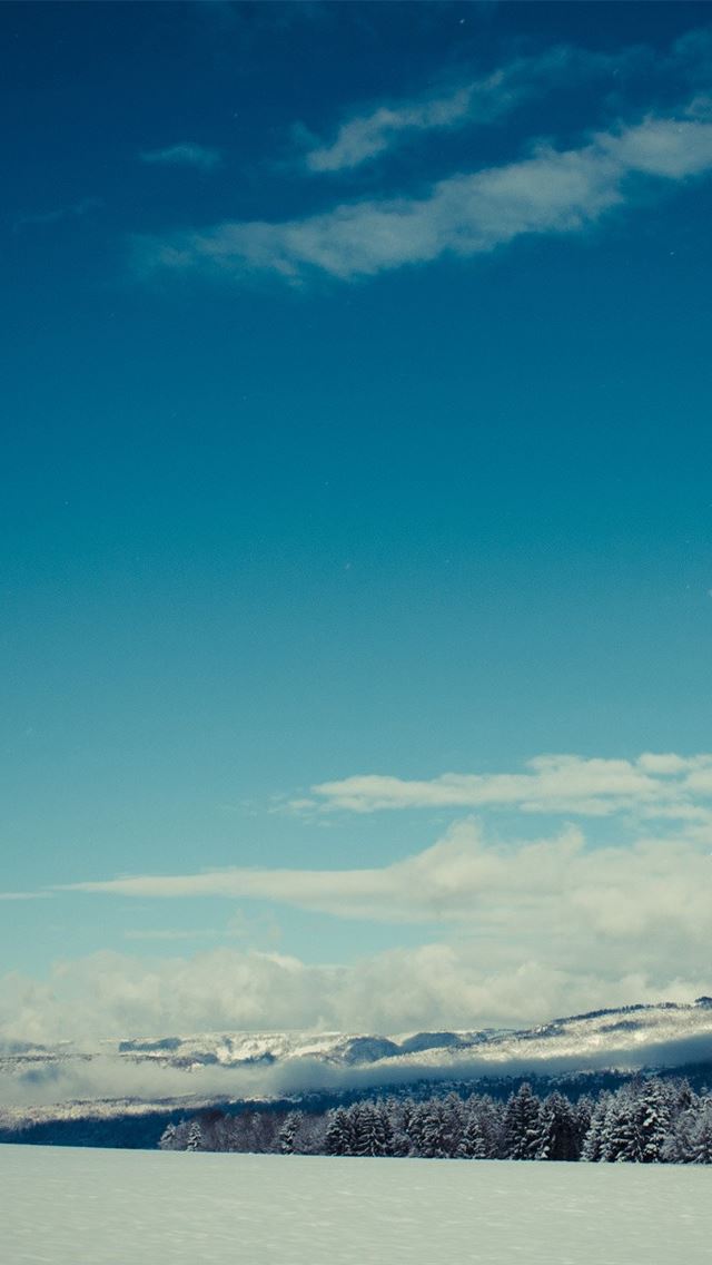 640x1136 Snow Trees - trees iPhone Wallpaper