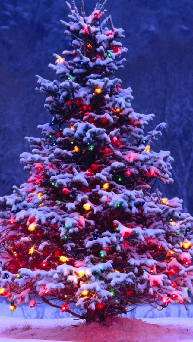 640x1136 Christmas Tree -  iPhone Wallpaper