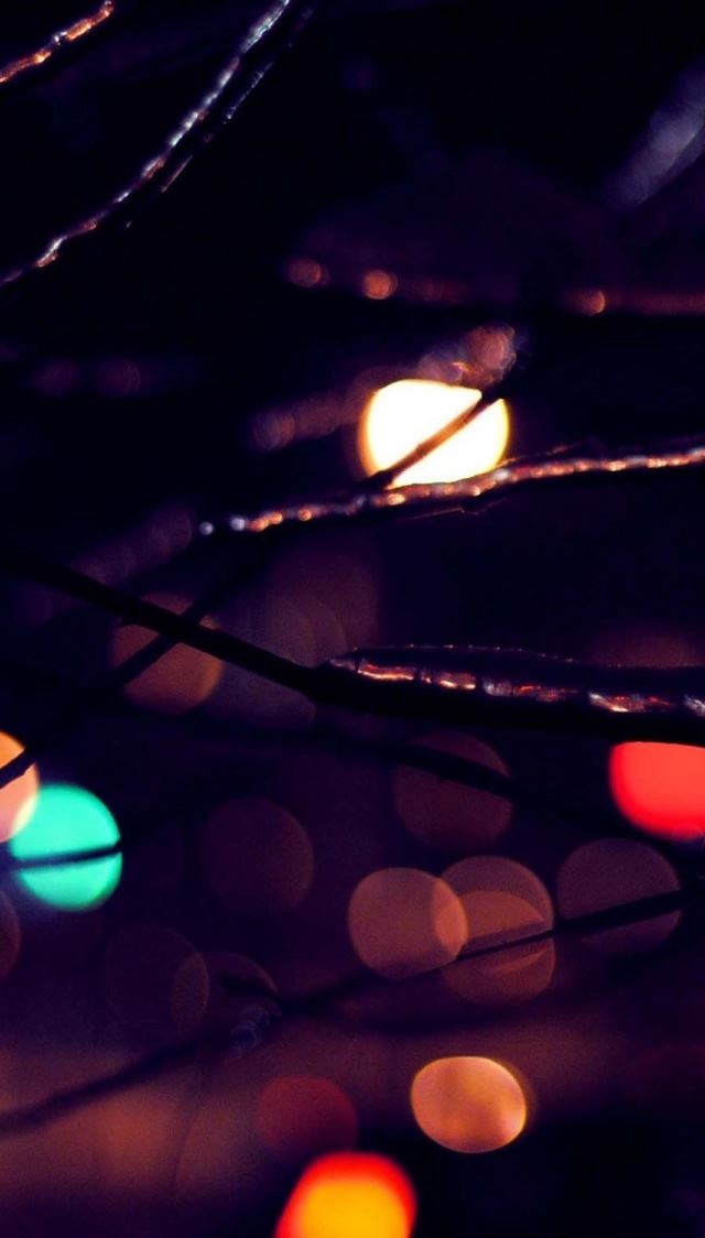 640x1136 Icy Twigs - icy iPhone Wallpaper