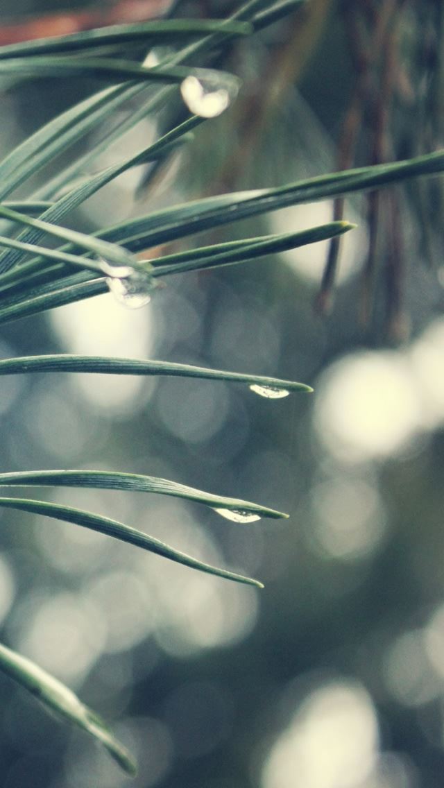 640x1136 Drop 7 - droplet iPhone Wallpaper