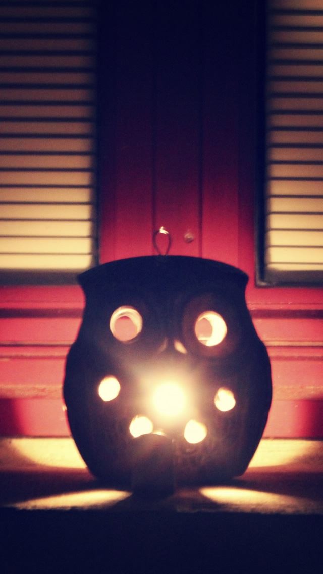 640x1136 Owl 5 - owl iPhone Wallpaper