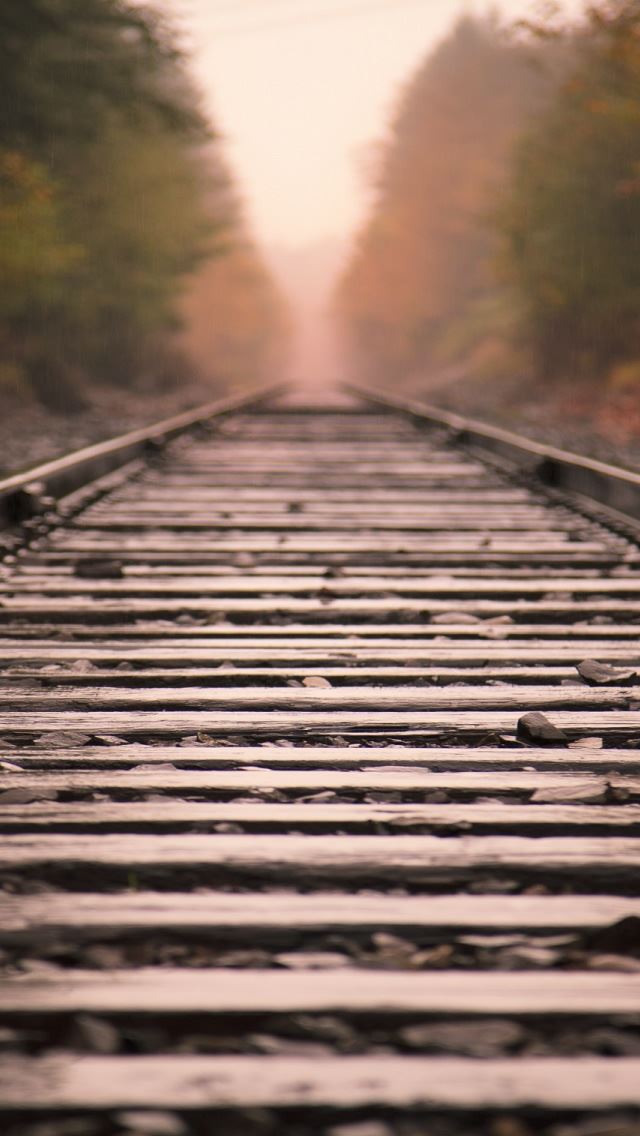 640x1136 Railroad Tracks - tree iPhone Wallpaper