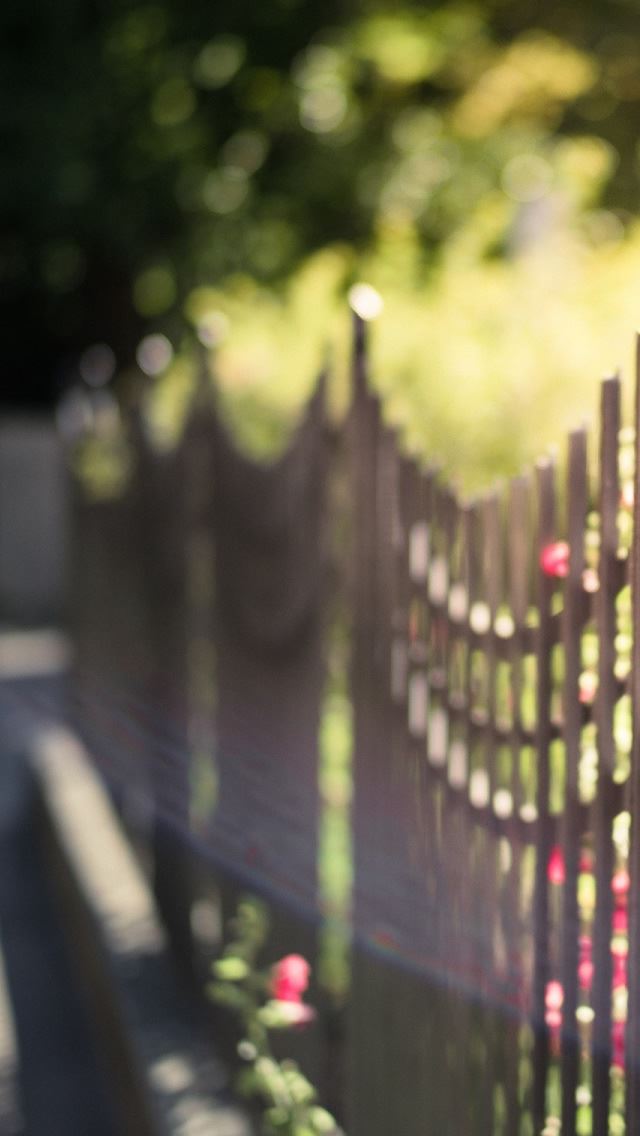 640x1136 Metal Fence - flower iPhone Wallpaper