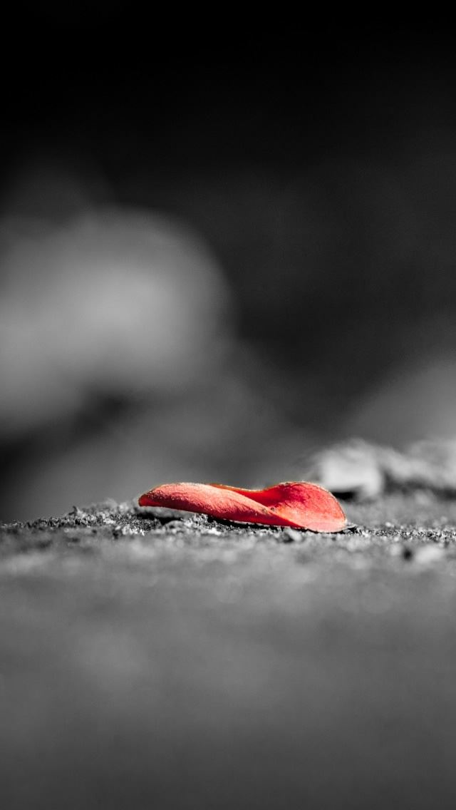 640x1136 Red  - floor iPhone Wallpaper